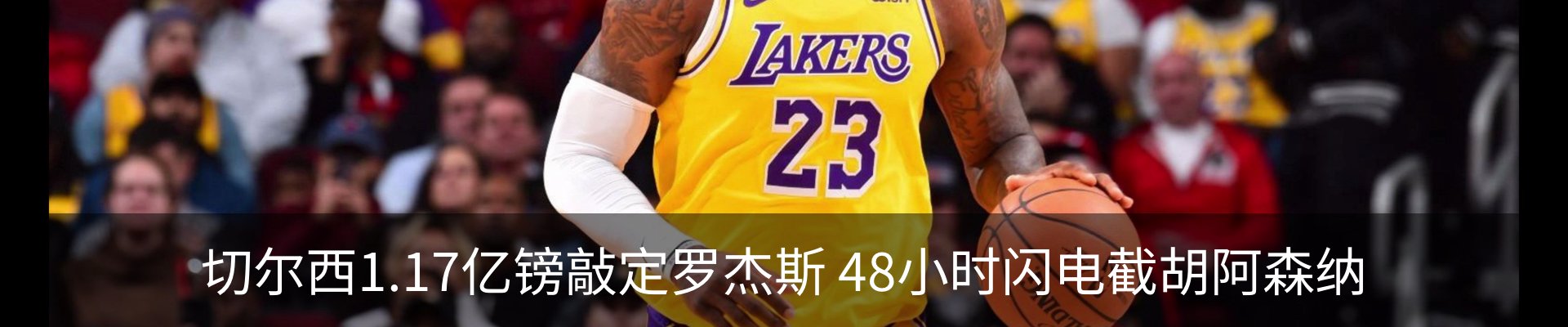 最新动态