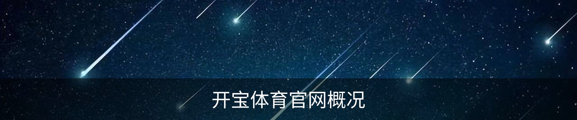 开宝体育官网概况