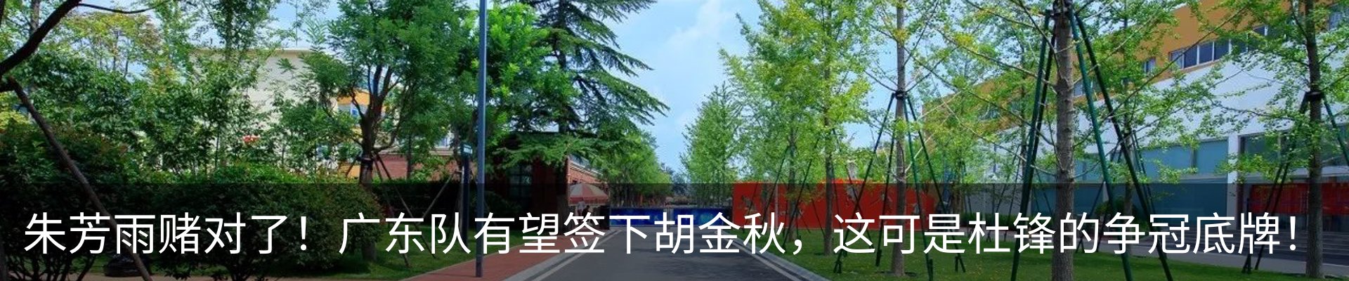 最新动态