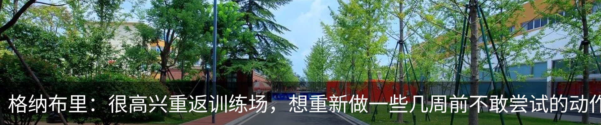 最新动态