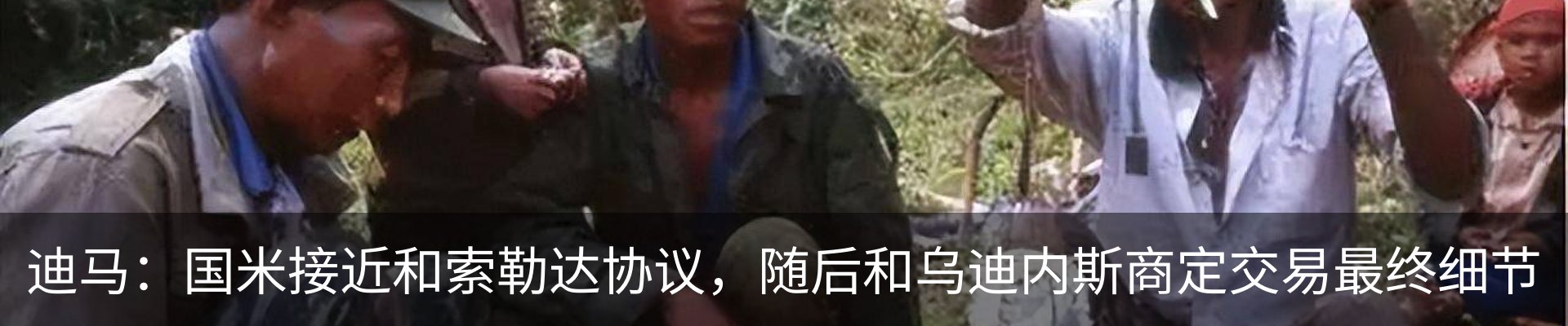 最新动态