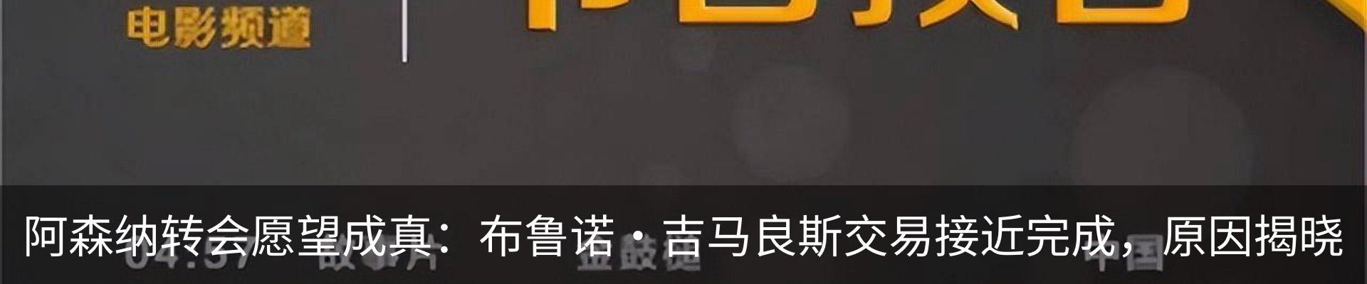 最新动态