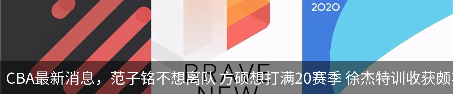 最新动态